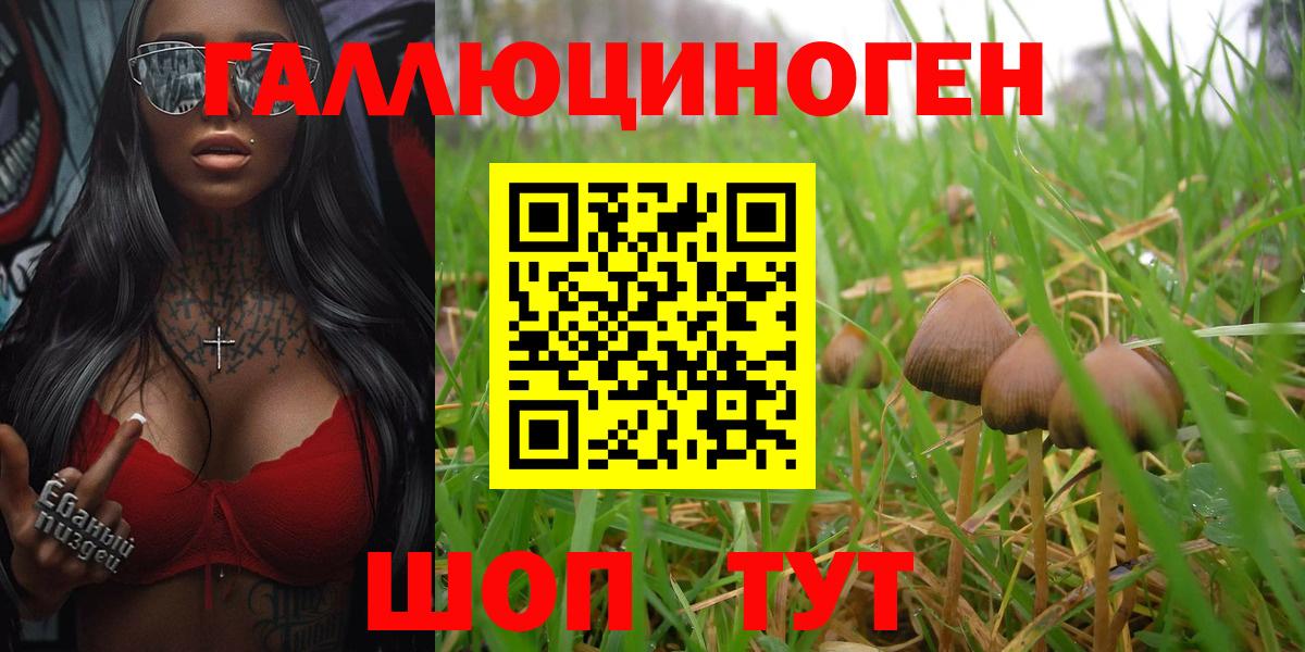 Белая Калитва  Галлюциногенные грибы Psilocybe  Псилоцибиновые грибы Psilocybine cubensis  Вход с VPN 